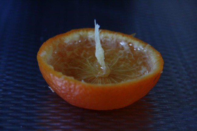 clementine1